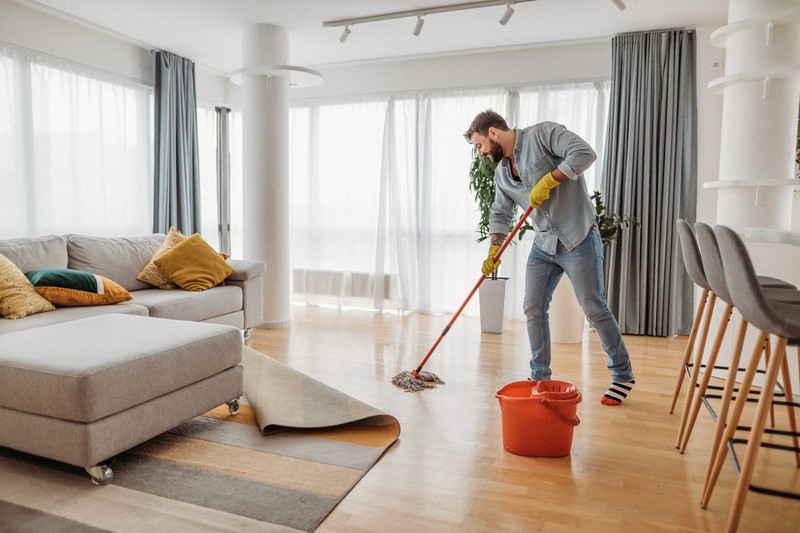 Want to know the art of apartment cleanup