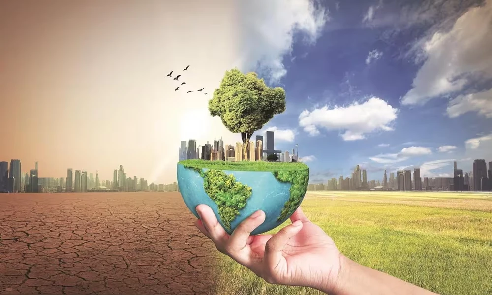 Climate Resilience Index: What Businesses Should Know